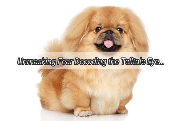 Unmasking Fear Decoding the Telltale Eyes of a Scared Dog